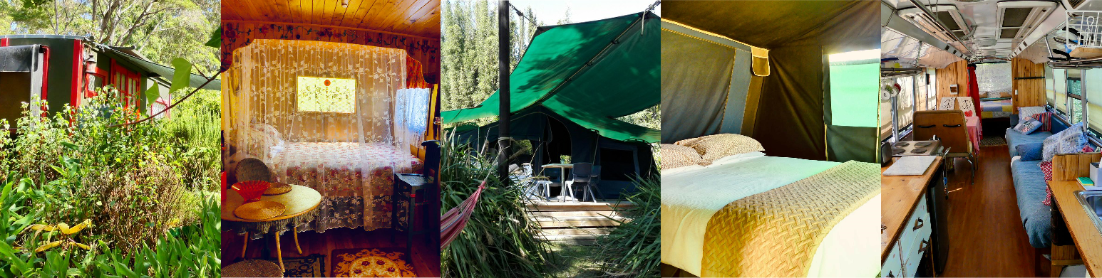 Glamping Gypsy Safari Tent Glamping Bus Pagoda Lodge Kerikeri Northland