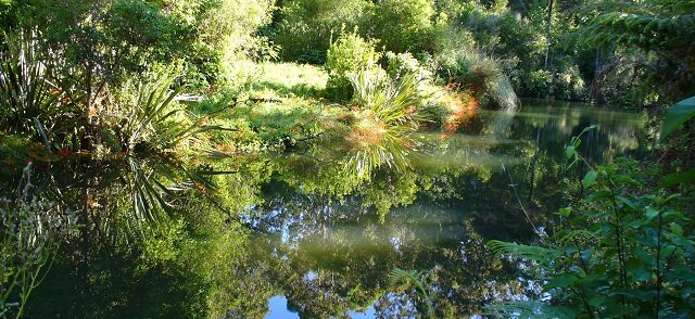 River at Pagoda Plants Light