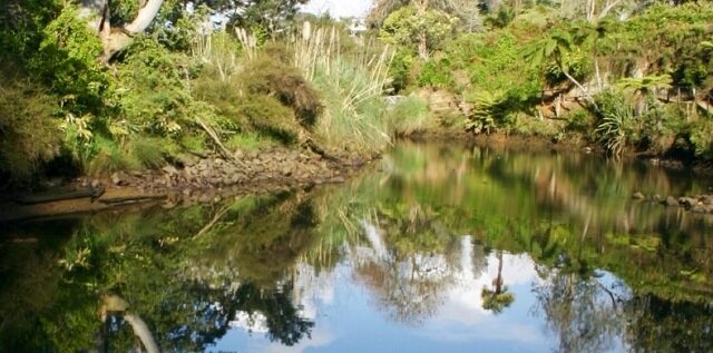 River at Pagoda Lodge